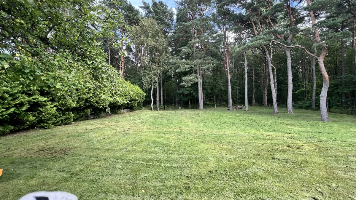 Muruniitmine suvemaja