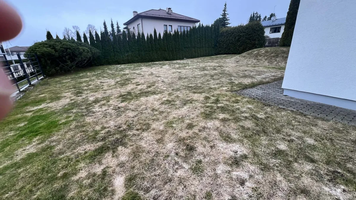 Muru enne aeratsiooni Nõmmes