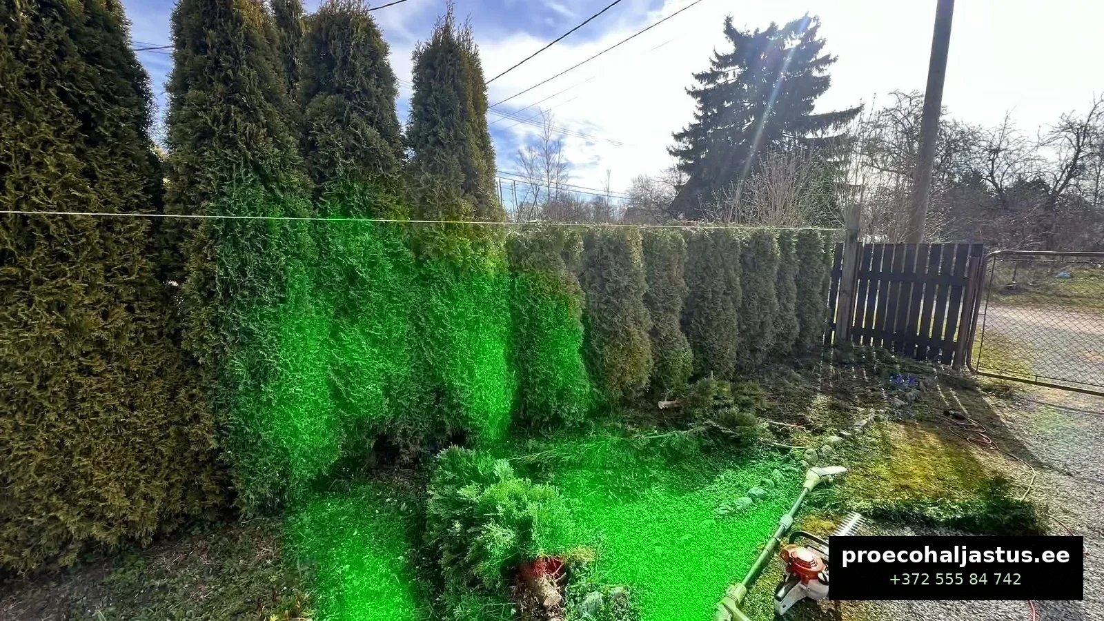 Elupuude l&otilde;ikamine Tallinnas 2026