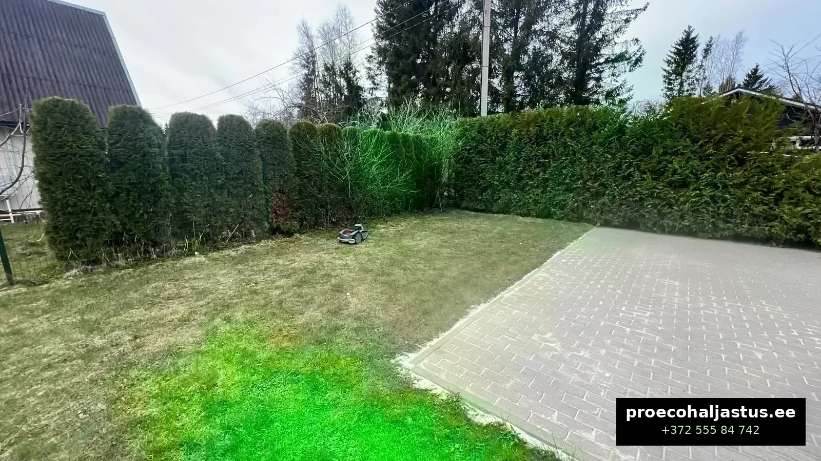 Elupuuaia hooldus Tallinnas 2026