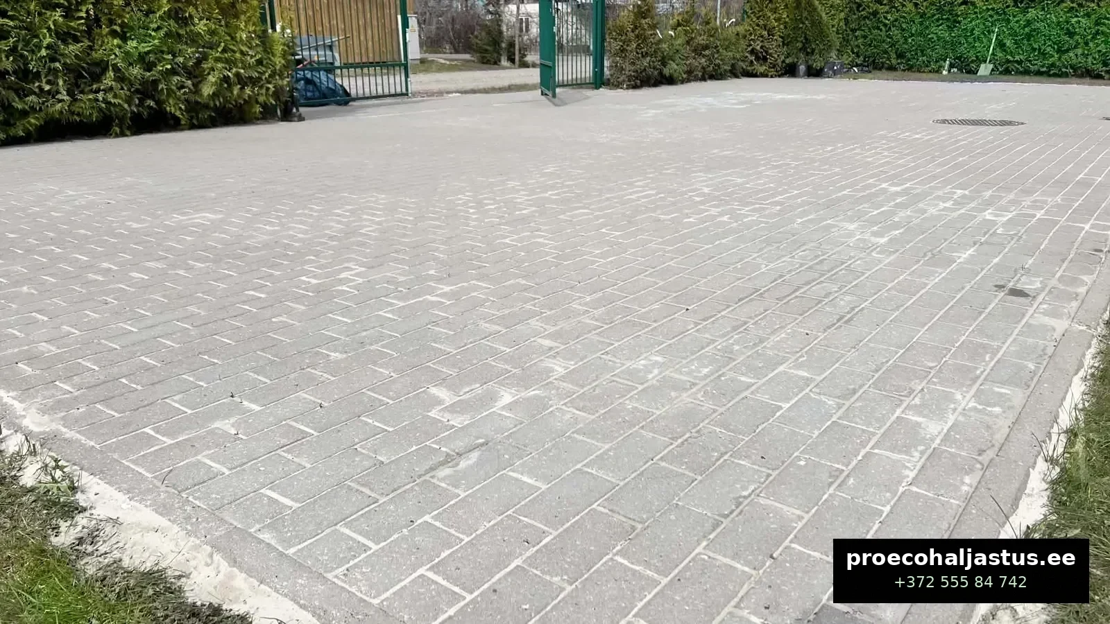 P&auml;rast &mdash; unikivi puhas